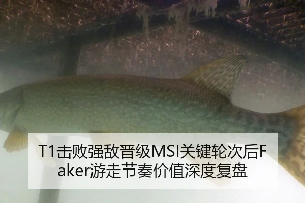 T1击败强敌晋级MSI关键轮次后Faker游走节奏价值深度复盘